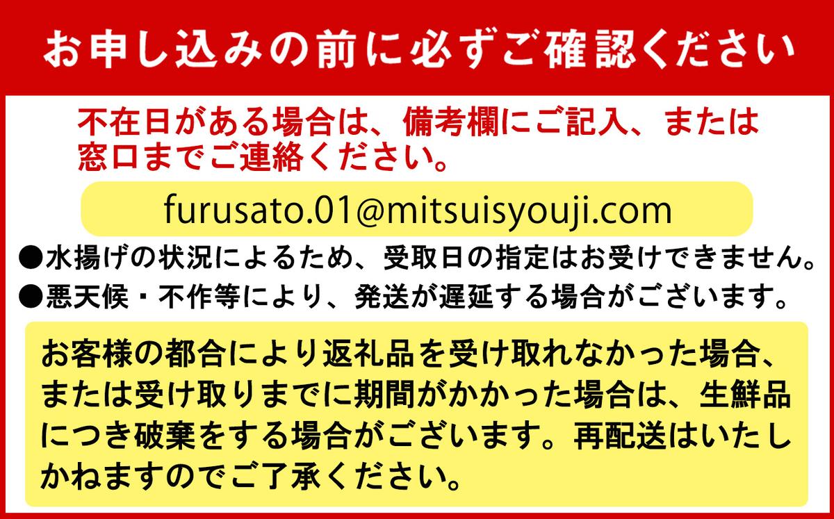 ＜2026年5月から順次発送＞ 北海道産 サクラマス 2～2.5kg まるごと 1尾 ＜予約商品＞ 