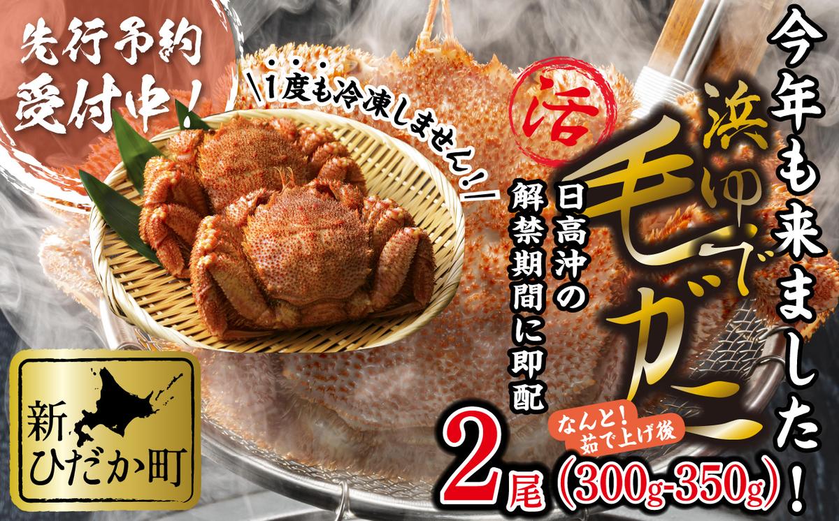 ＜2026年2月中旬から順次発送＞ 北海道産 かに 浜ゆで 毛がに 2尾 計 600g 以上 ＜ 予約商品 ＞ 毛蟹 毛ガニ 北海道 冷蔵 毛蟹 毛ガニ けがに かに 蟹 カニ かに味噌 カニ味噌 新鮮 旬 ボイル 浜茹で 海鮮 海産物 新鮮 旬 魚介 蟹味噌 みそ 新ひだか町