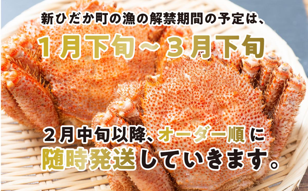 蛹玲オキ驕鍋肇 縺九↓ 豬懊f縺ァ 豈帙′縺ォ 2蟆セ 險 600g 莉・荳 シ2026蟷エ2譛井クュ譌ャ縺九i鬆谺。逋コ騾シ 豈幄淹 豈帙ぎ繝 蛹玲オキ驕 蜀キ阡オ 豈幄淹 豈帙ぎ繝 縺代′縺ォ 縺九↓ 陝ケ 繧ォ繝 縺九↓蜻ウ蝎 繧ォ繝句袖蝎 譁ー魄ョ 譌ャ 繝懊う繝ォ 豬懆源縺ァ 豬キ魄ョ 豬キ逕」迚ゥ 譁ー魄ョ 譌ャ 鬲壻サ 陝ケ蜻ウ蝎 縺ソ縺 譁ー縺イ縺縺狗伴