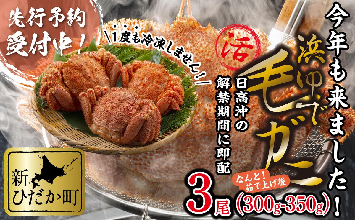 ＜2026年2月中旬から順次発送＞ 北海道産 かに 浜ゆで 毛がに 3尾 計 900g 以上 ＜予約商品 ＞ 毛蟹 毛ガニ 北海道 冷蔵 毛蟹 毛ガニ けがに かに 蟹 カニ かに味噌 カニ味噌 新鮮 旬 ボイル 浜茹で 海鮮 海産物 新鮮 旬 魚介 蟹味噌 みそ 新ひだか町
