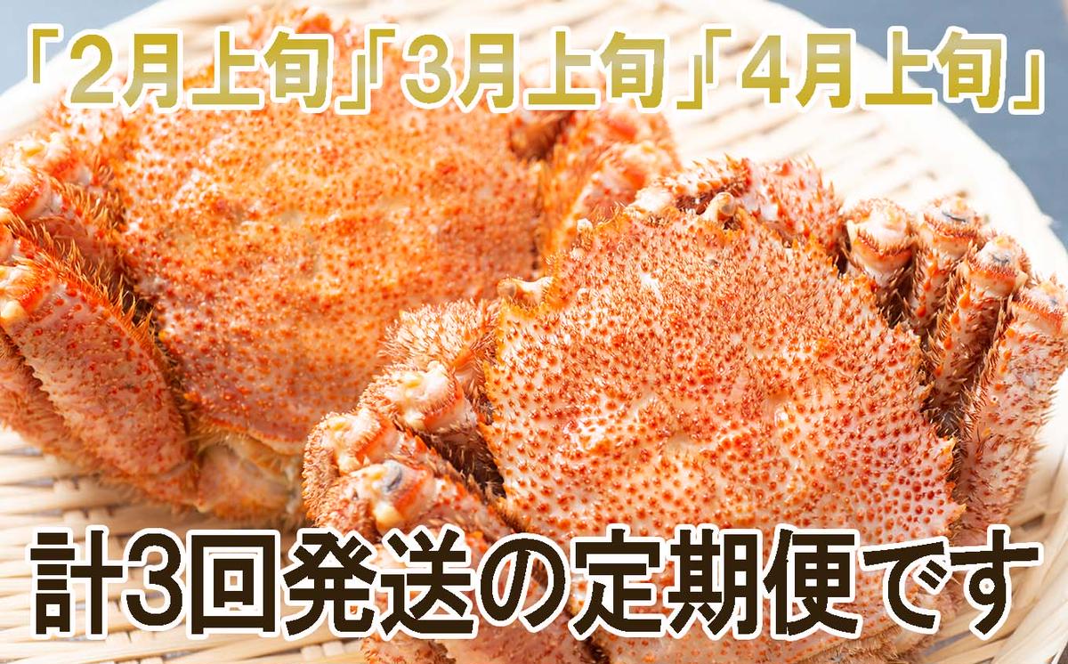 ＜ 1月20日まで受付 ＞【 定期便 全 3回 】 北海道産 浜ゆで 毛ガニ 2尾 × 3回 （ 計 6尾 ） ＜ 2月上旬から発送 ＞ 毛蟹 毛がに かに味噌 カニ味噌 新鮮 旬 ボイル 浜茹で 海鮮 海産物