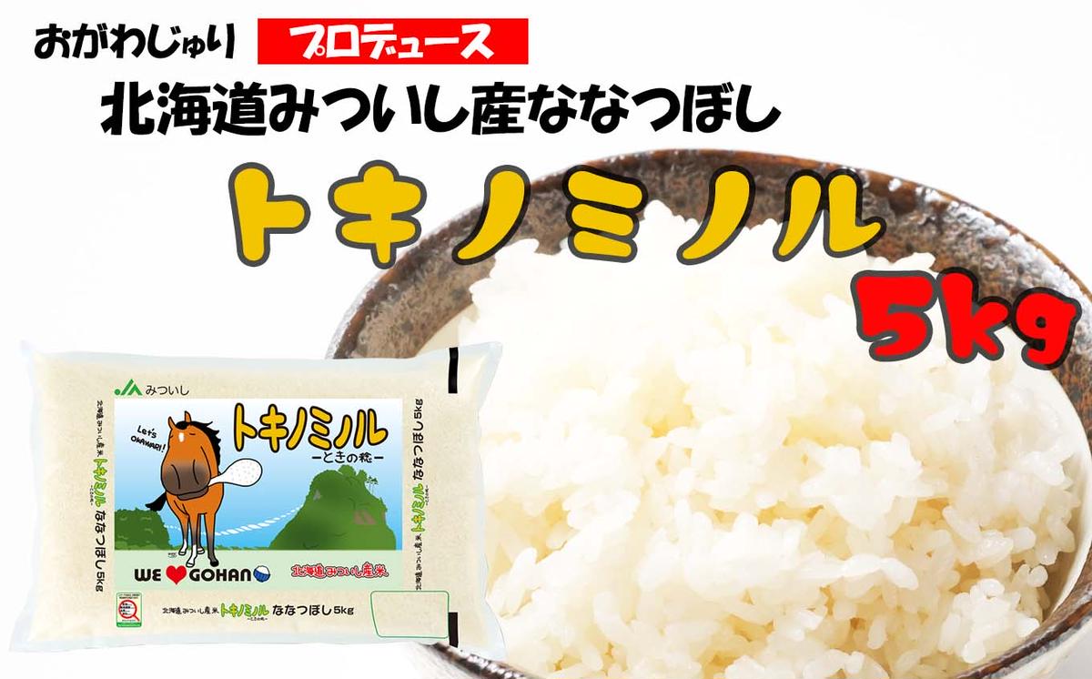 北海道産 ななつぼし トキノミノル 白米 5kg