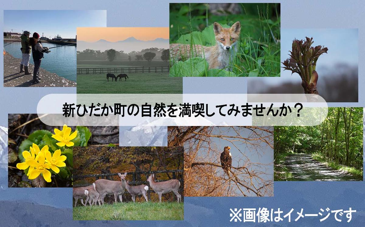 åæµ·é æ°ã²ã ãçº äœéš ãã¢ãŒ ã¯ãŒãã³ 5,000åå æ¥é« äžç³ é£ã æç©º èŠ³è³ æ¥é«å±±è çºæãã¢ãŒ 銬 ãµã©ãã¬ãã ç§å Ž èŠåŠ