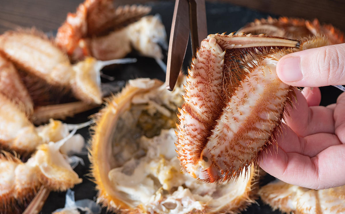 訳あり 北海道産 毛ガニ 冷凍 ボイル 約 1kg （ 2～4尾 ） 毛蟹 毛がに かに カニ 蟹 かに味噌 カニ味噌 海鮮 海産物 わけあり 訳アリ