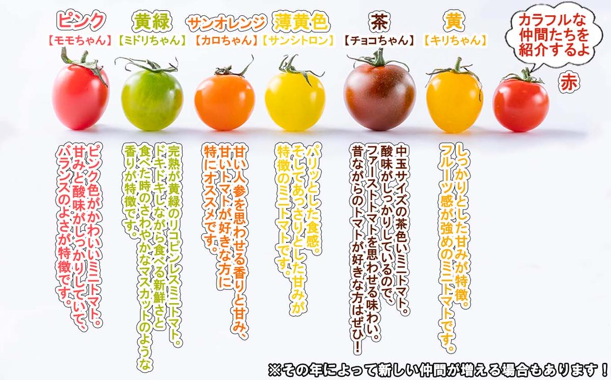 ＜ 2025年8月上旬より発送 ＞ 北海道産 カラフルトマト ミニトマト 1kg  ＃にじいろとまと ＜ 予約商品 ＞