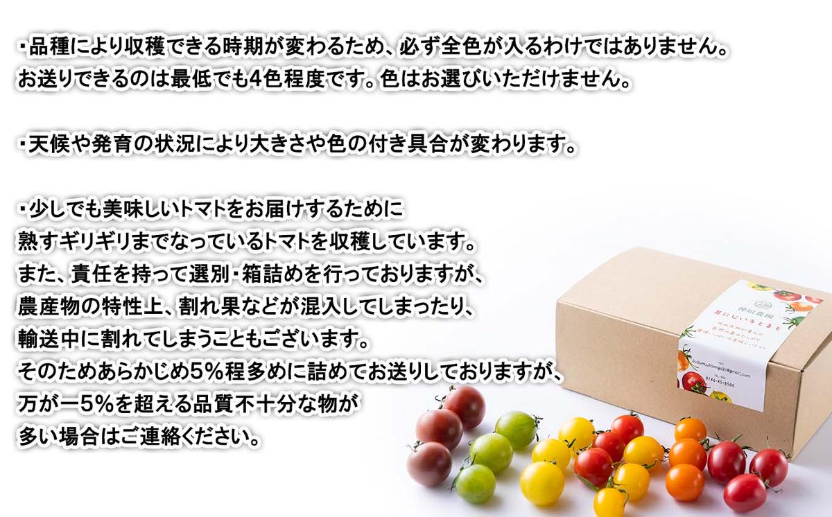 ＜ 2025年8月上旬より発送 ＞ 北海道産 カラフルトマト ミニトマト 1kg  ＃にじいろとまと ＜ 予約商品 ＞