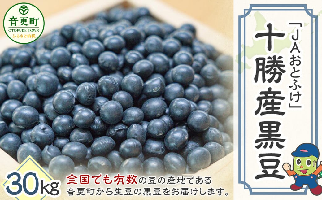 令和6年産 黒豆30kg 「JAおとふけ」 【D46-01】 くろまめ 北海道