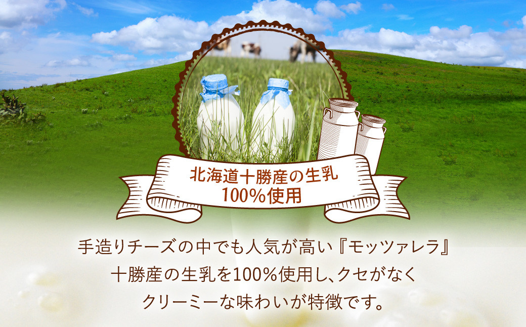 花畑牧場 モッツァレラチーズひとくちタイプ 約500g【B94】 モッツァレラチーズ 北海道産