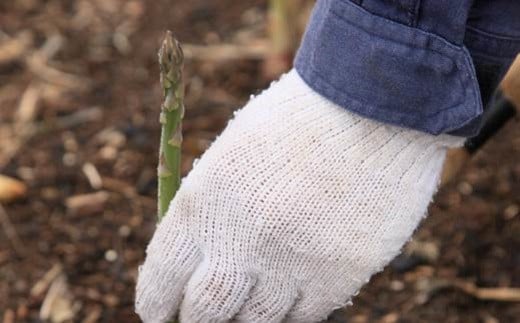 ［先行受付］おとふけ産グリーンアスパラ 1.8kg【A39】 2025年5月中旬頃より順次発送