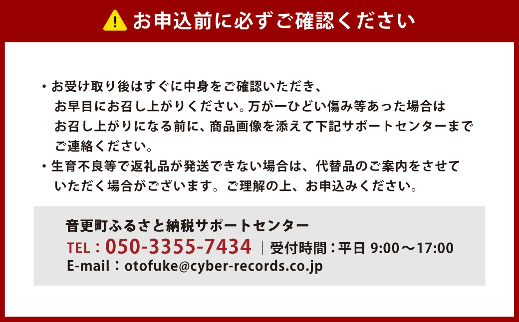 ［先行受付］北海道十勝産 木野シャイニングコーン12本セット【A15】2026年8月中旬頃より順次発送