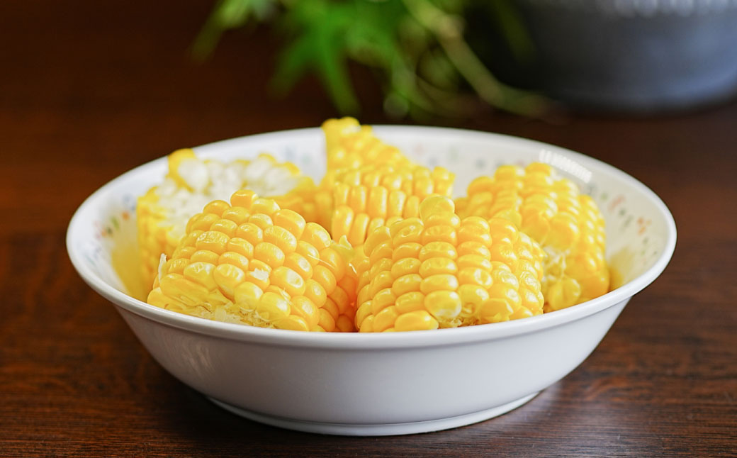 ［先行受付］おとふけ産とうもろこし 12本【B18】2025年8月上旬頃より順次発送