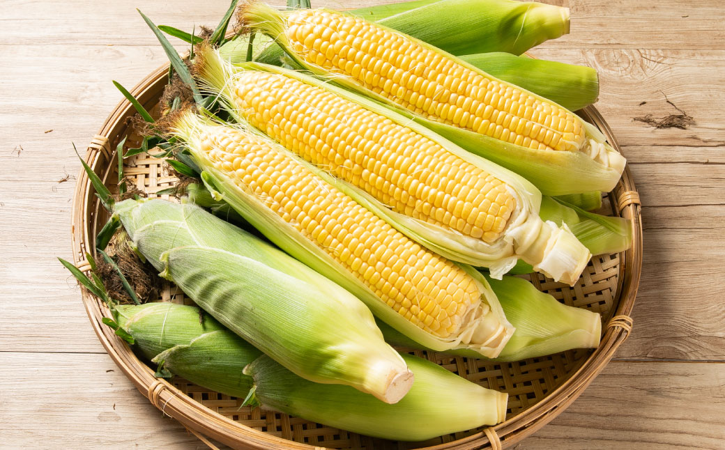 ［先行受付］おとふけ産とうもろこし 12本【B18】2025年8月上旬頃より順次発送