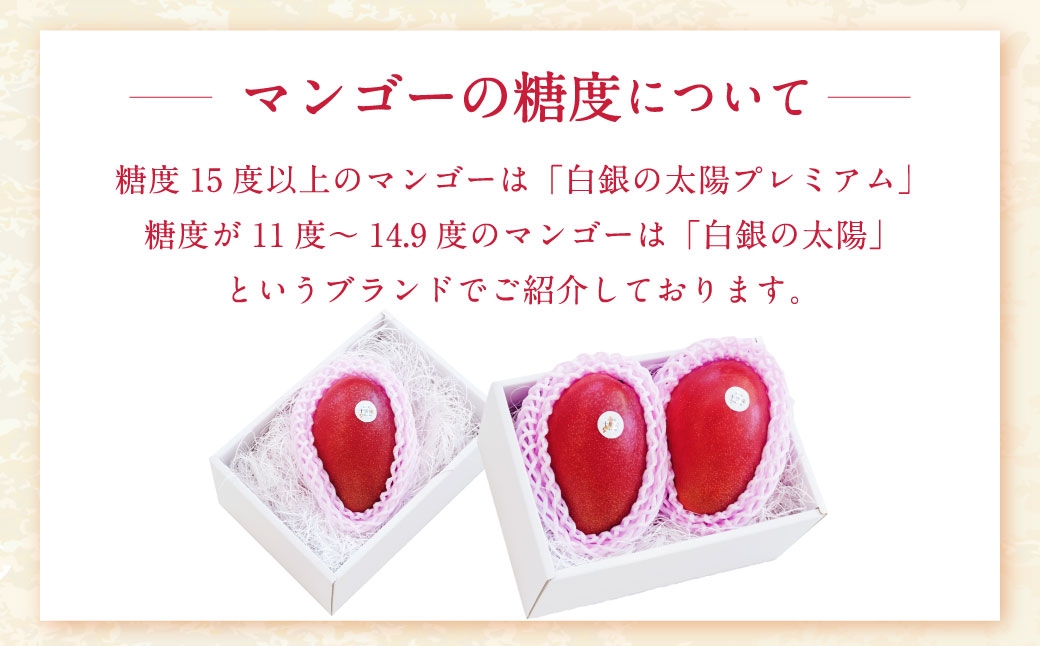  å
è¡åä» ïŒœ ããšãµãç£ãã³ãŽãŒ ã çœéã®å€ªéœ ã 3Lãµã€ãº à 2ç ã D63 ãã2026幎11æäžæ¬ããçºééå§äºå®ã