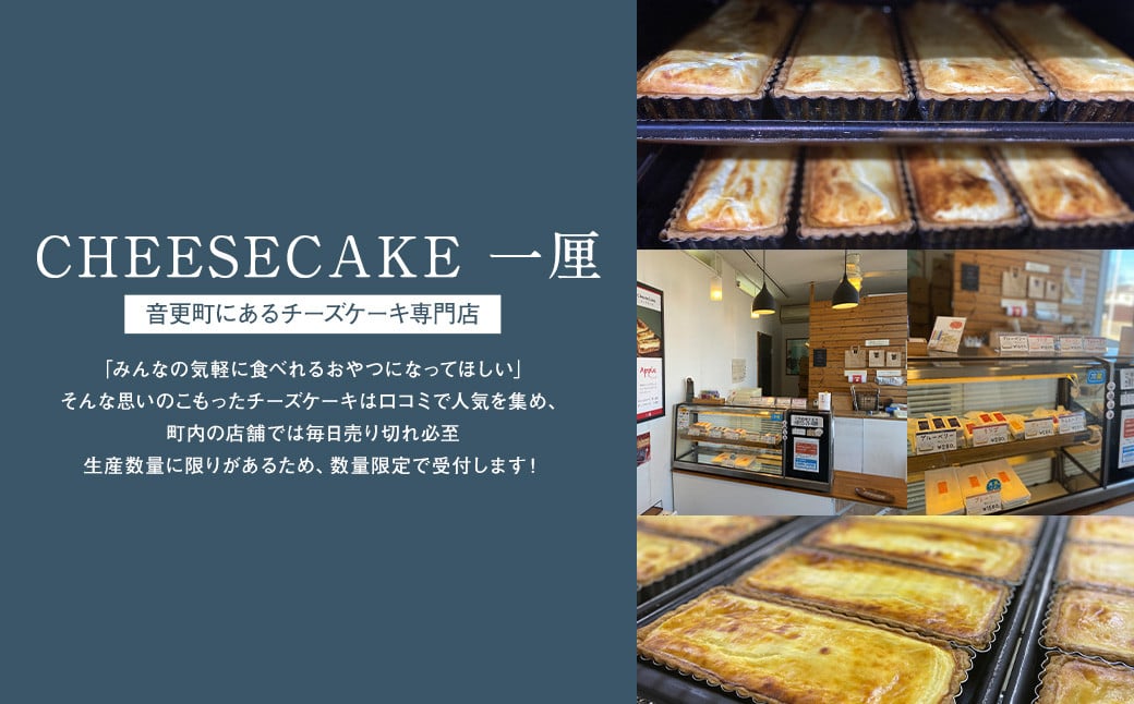 「CHEESECAKE一厘」チーズケーキ2個セット（プレーン）【A59】