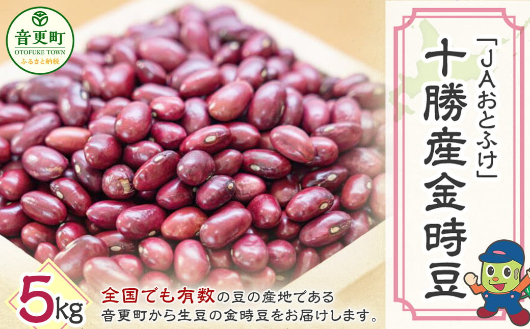 令和6年産 金時豆5kg「JAおとふけ」【C73】 きんときまめ 北海道 