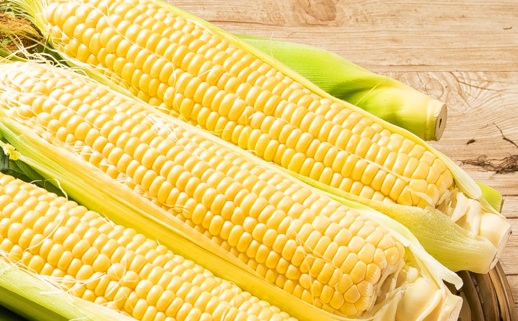 ［先行受付］おとふけ産とうもろこし 12本【B18】2025年8月上旬頃より順次発送