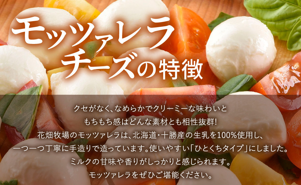 【3回定期便】 花畑牧場 モッツァレラチーズひとくちタイプ 約500g【C85】 モッツァレラチーズ 北海道産