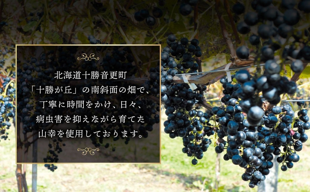 ワイン オトプケ浪漫山幸2024 750ml×1本 【A130】