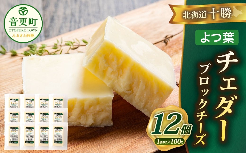 「よつ葉」北海道十勝 チェダー（ブロックチーズ） 100g×12個【A123】