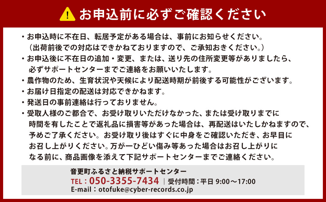 北海道十勝産ながいも 6本セット【A51】