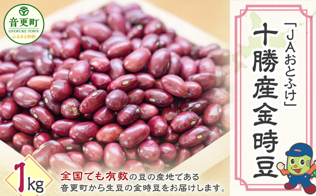 令和6年産 金時豆1kg「JAおとふけ」【B105】 きんときまめ 北海道