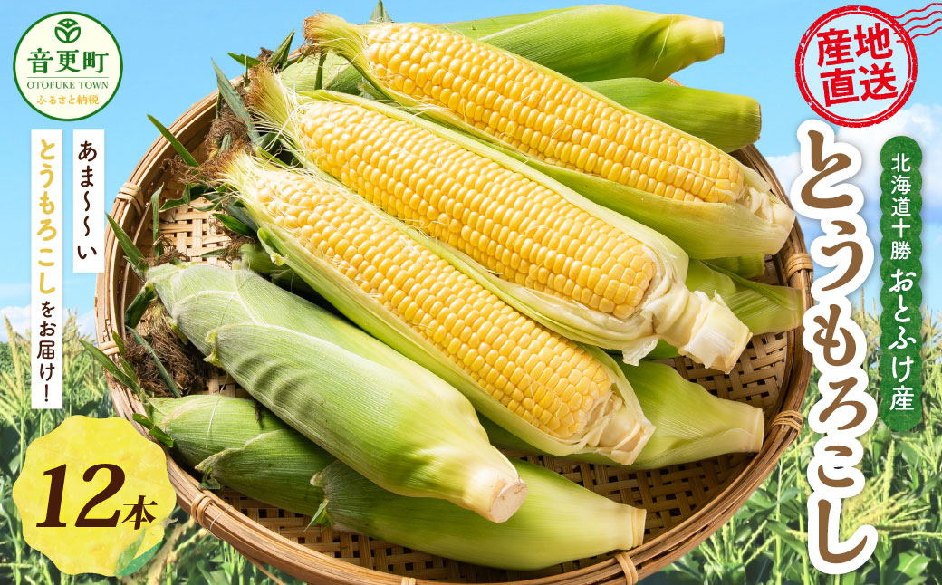 ［先行受付］おとふけ産とうもろこし 12本【B18】2025年8月上旬頃より順次発送