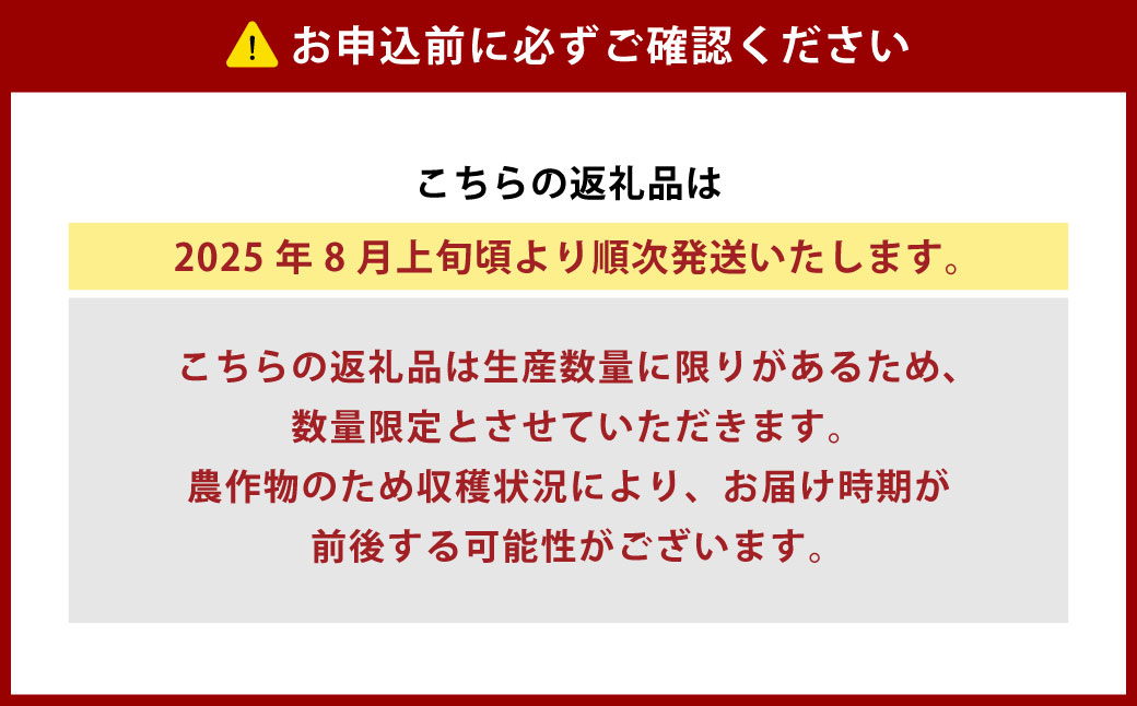 ［先行受付］おとふけ産とうもろこし 12本【B18】2025年8月上旬頃より順次発送