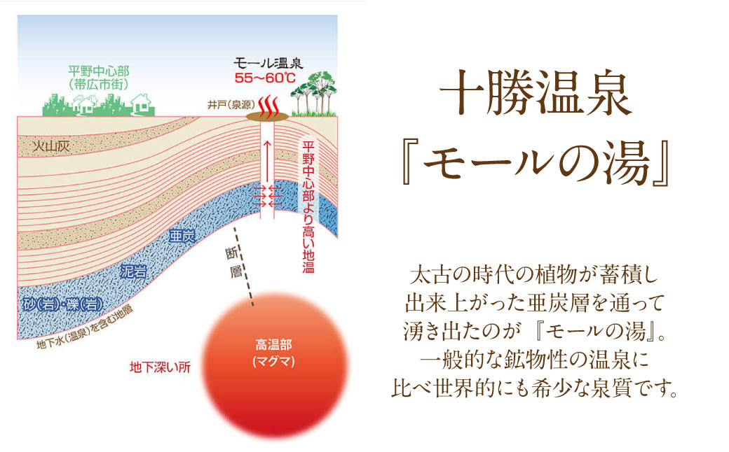 ååå·æž©æ³ã¢ãŒã«æž©æ³æè¬åž30,000ååãT-100000ã