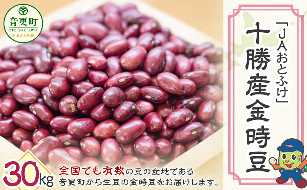 令和6年産 金時豆30kg「JAおとふけ」【D44】 きんときまめ 北海道