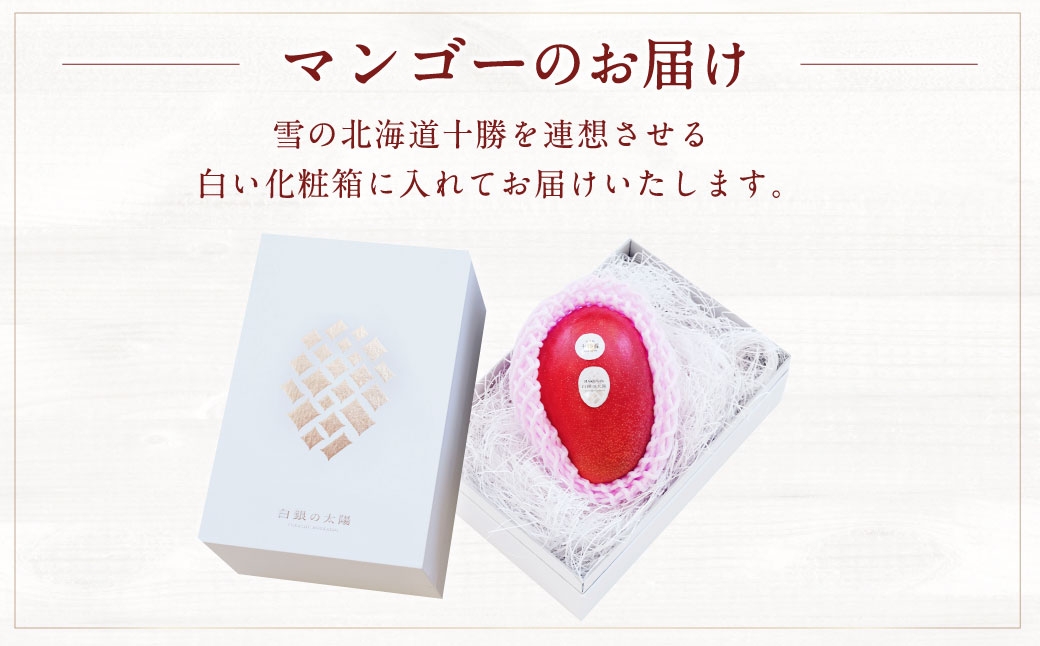  å
è¡åä» ïŒœ ããšãµãç£ãã³ãŽãŒ ã çœéã®å€ªéœãã¬ãã¢ã ã 3Lãµã€ãº à 1ç ã D61 ãã2026幎11æäžæ¬ããçºééå§äºå®ã