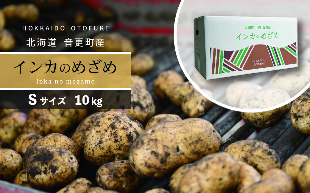 ［先行受付］おとふけ産じゃがいも「インカのめざめ」10kg（Sサイズ）【B29】