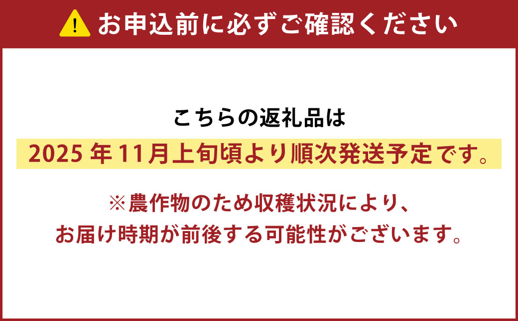 ［先行受付］自慢のカレー野菜セット【A63】2025年11月上旬頃より順次発送予定
