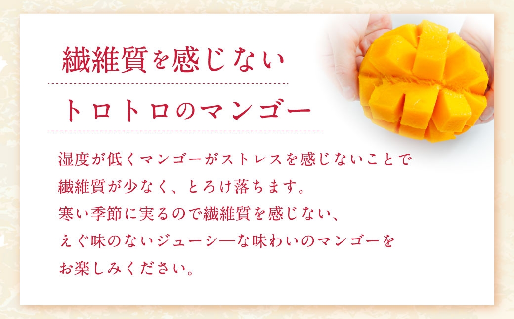  å
è¡åä» ïŒœ ããšãµãç£ãã³ãŽãŒ ã çœéã®å€ªéœãã¬ãã¢ã ã 3Lãµã€ãº à 2ç ã D62 ãã2026幎11æäžæ¬ããçºééå§äºå®ã