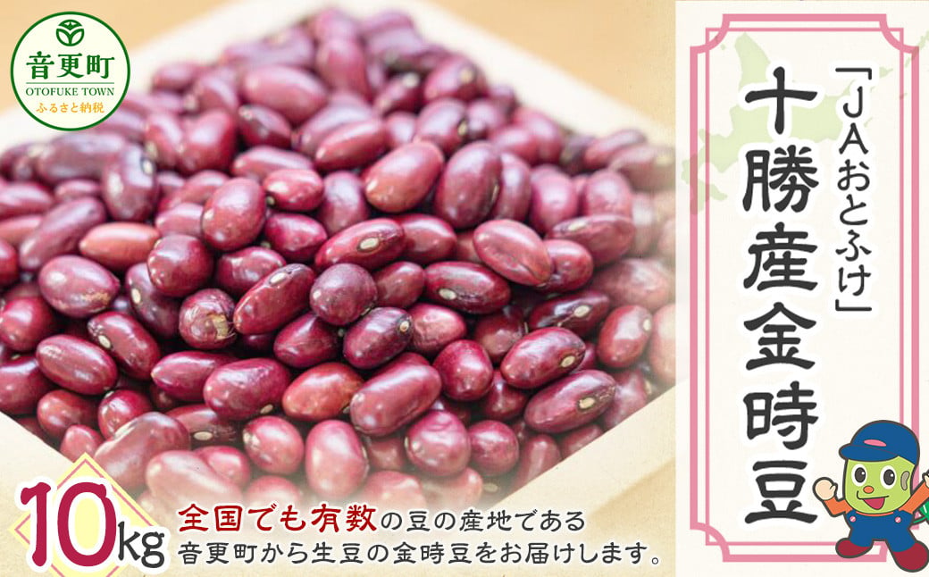 令和6年産 金時豆10kg「JAおとふけ」【D43】 きんときまめ 北海道 