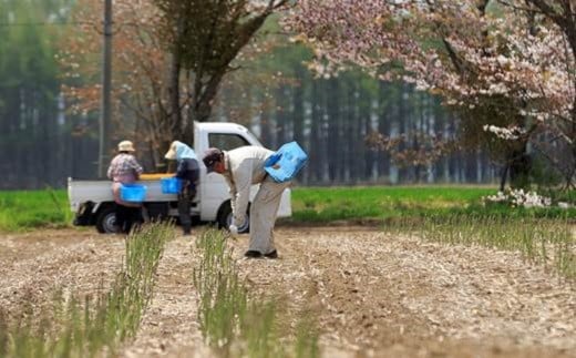 ［先行受付］おとふけ産グリーンアスパラ 1.8kg【A39】 2025年5月中旬頃より順次発送
