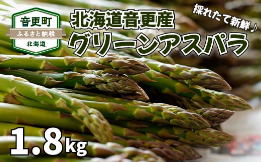 おとふけ産「グリーンアスパラ」1.8kg【A39】