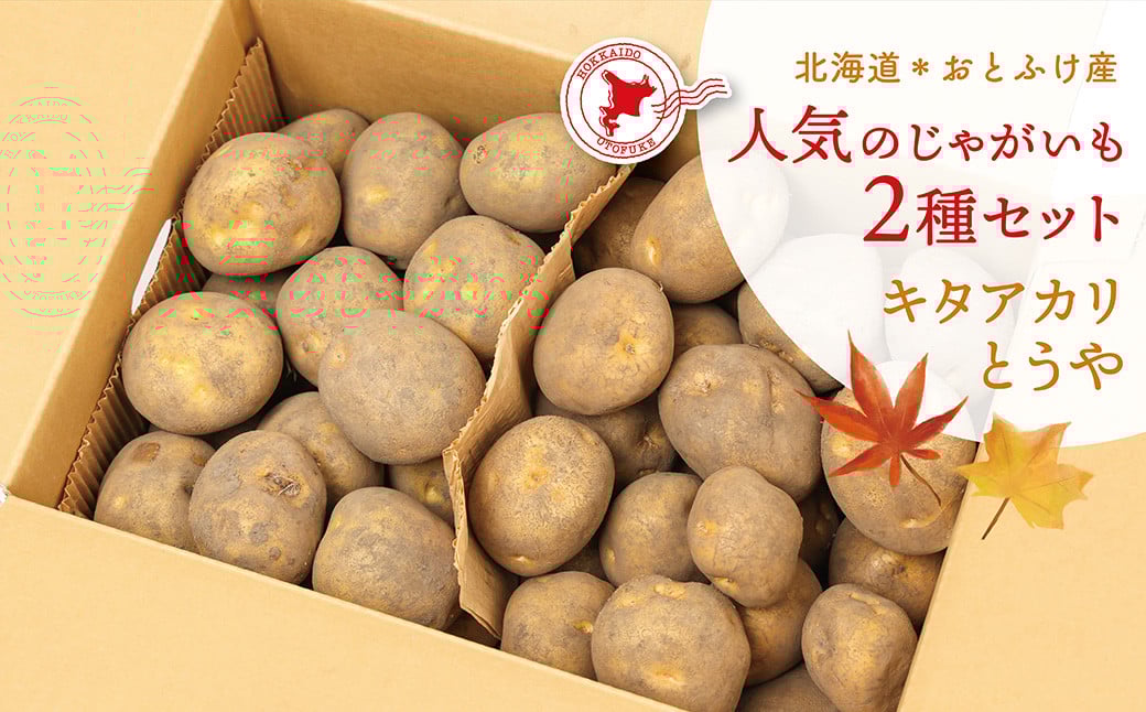 [先行受付] 北海道おとふけ産 人気のじゃがいも 2種セット「キタアカリ・とうや」合計9kg 【B73】《2026年10月下旬より発送開始予定》