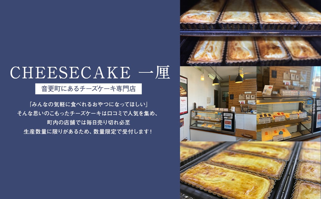 「CHEESECAKE一厘」チーズケーキ2個セット（プレーン・ブルーベリー）【A54】