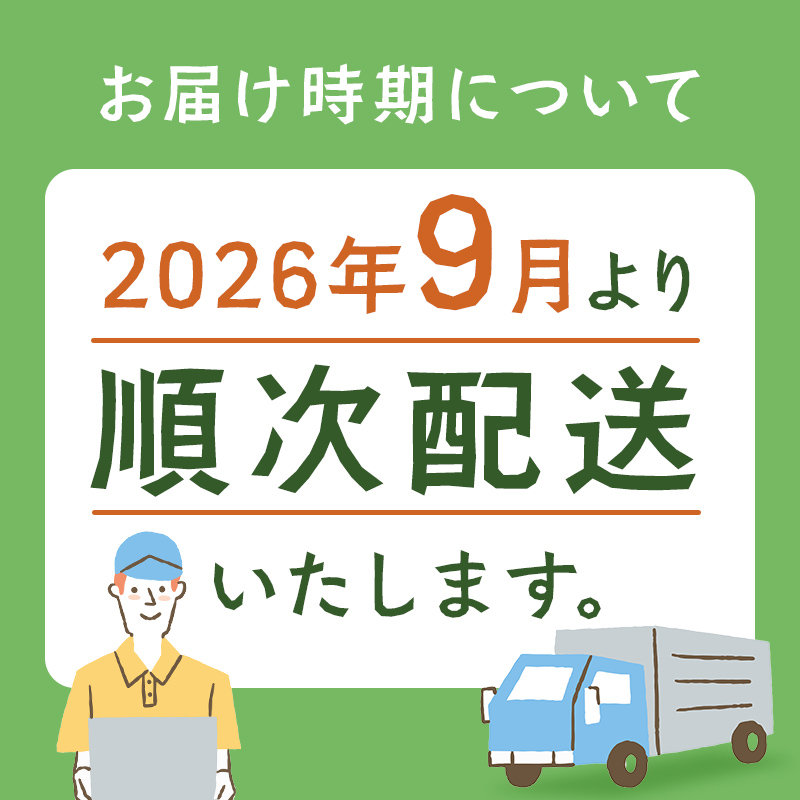 【※先行予約※26年9月から順次発送】ポテトチップス３箱セット北海道 ポテトチップス 菓子 おやつ 塩 のり塩 コンソメ 大容量  お菓子 ポテト スナック ポテチ のりしお うす塩 じゃがいも お取り寄せ 詰め合わせ 送料無料 十勝 士幌町 17000円 【N01】