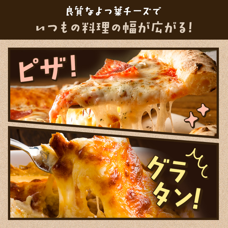 ããŒãº åæµ·é ãã€è ãšãããããŒãº åå ã·ã¥ã¬ããããŒãº 1kg 1è¢ ããŒãº ããã¥ã©ã«ããŒãº ãã§ããŒããŒãº ãŽãŒãããŒãº ã¢ããã¡ã¬ã©ããŒãº ããã¯ã¹ããŒãº ãåãå¯ã ãã¶ ã°ã©ã¿ã³ ããŒã¹ã æç ãããã³ã° ã¢ã¬ã³ãž éæç¡æ 士å¹çº 10000åãY101ã