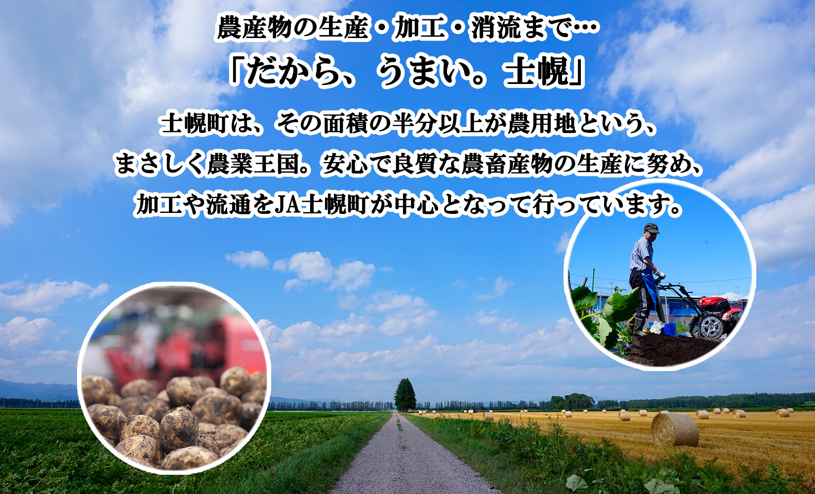 北海道 コーン フライドポテト 冷凍食品 2種 セット カーネルコーン トウモロコシ とうもろこし ポテト ジャガイモ じゃがいも 冷凍 おやつ おかず お弁当 詰合せ お取り寄せ 十勝 士幌町【N23】