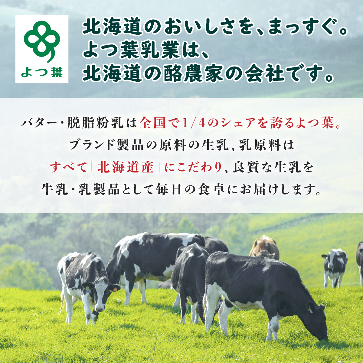  北海道 よつ葉 チーズ バター 8個 セット ふるさと納税 よつ葉 チーズ バター 限定バター クリームチーズ モッツァレラ カマンベールチーズ ナチュラルチーズ おつまみ 贈り物 ギフト 詰め合わせ 乳製品 送料無料 十勝【Y08】