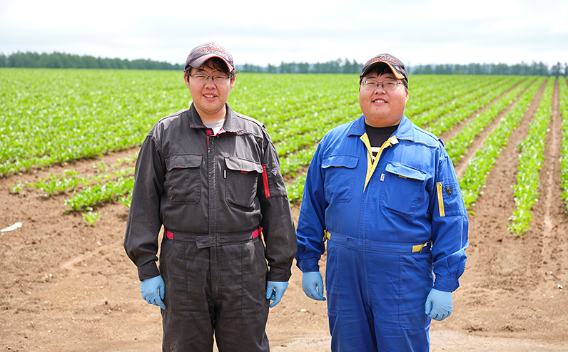 北海道産 新じゃが きたひめ 5kg 北海道 上士幌町 須田農場 野菜 じゃがいも ジャガイモ 馬鈴薯 産地直送