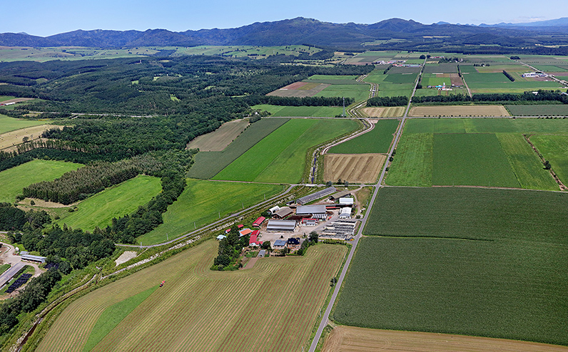 十勝もーもースイーツ 牛乳そのまんまアイス＆ココア 80ml×24個 北海道 アイスミルク 卵不使用 低カロリー