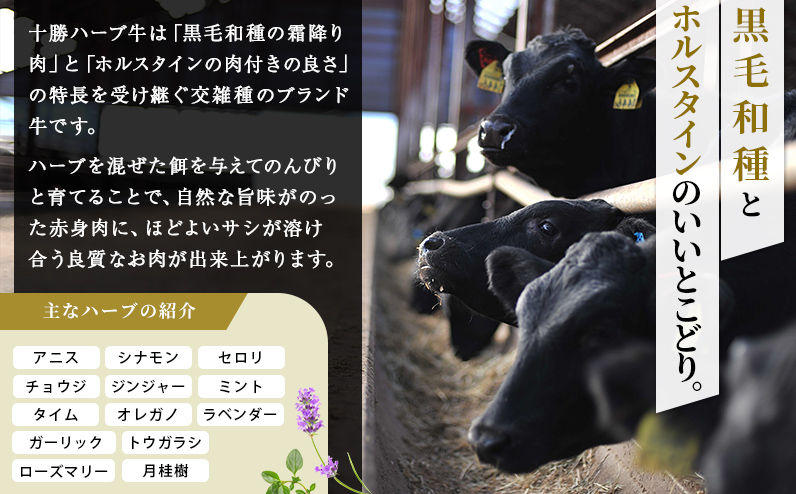 十勝ハーブ牛 サーロイン モモ ステーキ セット 計700g 北海道産 牛肉 赤身 国産 旨味を逃さないスキンパック包装 キャンプ アウトドア バーベキュー BBQ