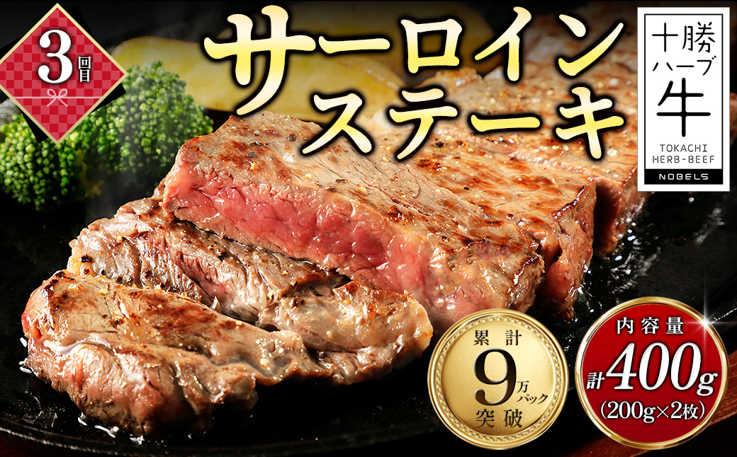 かみしほろ特選 6ヵ月 定期便 Aコース 6回定期便 生産者横断型定期便 国産 北海道 人気 おすすめ アイスクリーム 肉 牛肉 赤身 ステーキ バター チーズ ハンバーグ パン 餃子 冷凍