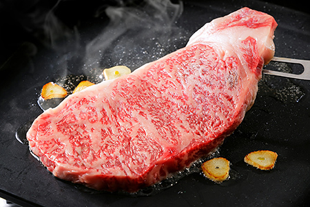 北海道 和牛肉 5・4等級 オレイン酸含有率55%以上 定期便 1年コース サーロイン ヒレ肉 焼肉 すき焼き 冷凍ハンバーグ｜十勝ナイタイ和牛定期便 1年満喫12ヵ月コース