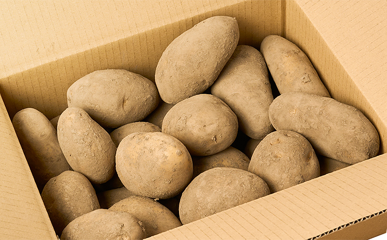 åæµ·éç£ æ°ããã ããã«ã€ã³ã¬ã 5kg åæµ·é äžå£«å¹çº é ç°èŸ²å Ž éè ããããã ãžã£ã¬ã€ã¢ 銬éŽè¯ åæµ·ããã ç£å°çŽé