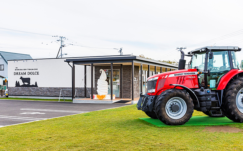 ドリームドルチェ A2ミルク 生ソフトクリーム 130ml×8個 北海道 アイス アイスクリーム 詰め合わせ ギフト 贈答用 冷凍