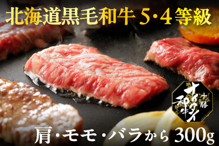 北海道 和牛肉 5・4等級 オレイン酸含有率55%以上|十勝ナイタイ和牛 焼肉[300g]